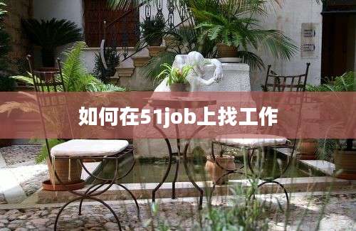 如何在51job上找工作