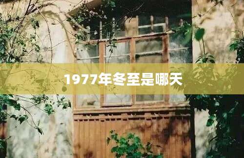 1977年冬至是哪天