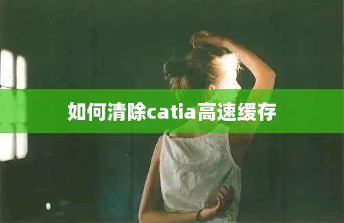 如何清除catia高速缓存