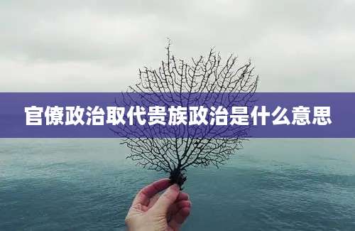 官僚政治取代贵族政治是什么意思