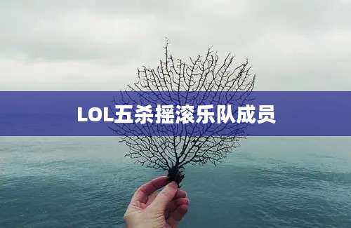 LOL五杀摇滚乐队成员