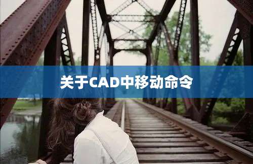 关于CAD中移动命令