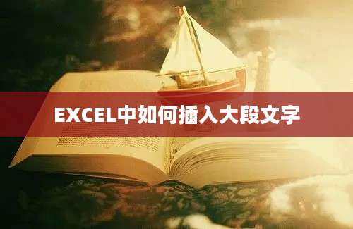 EXCEL中如何插入大段文字