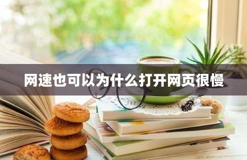 网速也可以为什么打开网页很慢