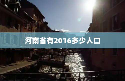 河南省有2016多少人口