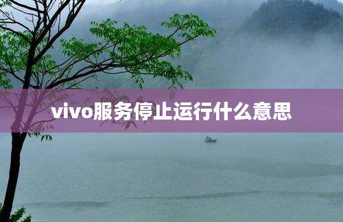 vivo服务停止运行什么意思