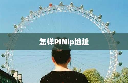 怎样PINip地址