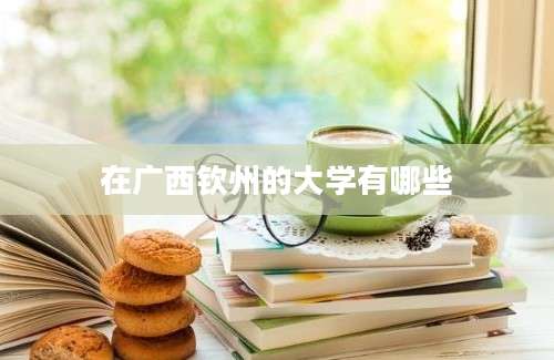 在广西钦州的大学有哪些