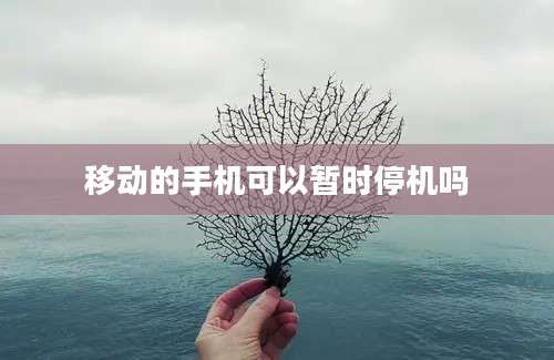 移动的手机可以暂时停机吗