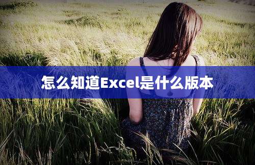 怎么知道Excel是什么版本