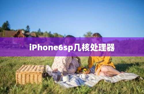 iPhone6sp几核处理器