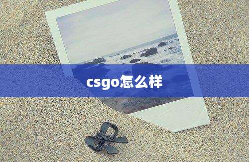 csgo怎么样