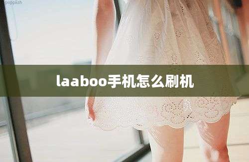 laaboo手机怎么刷机