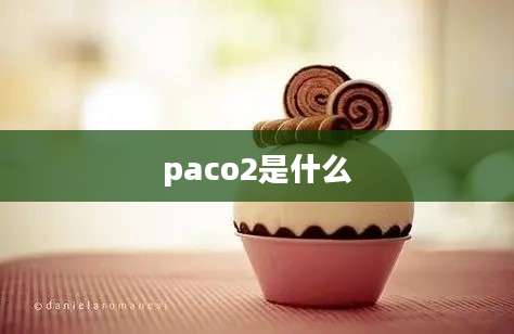 paco2是什么