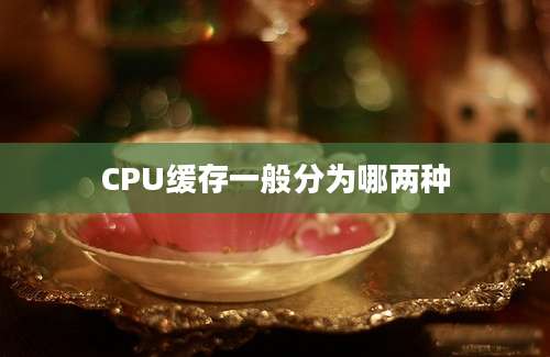 CPU缓存一般分为哪两种