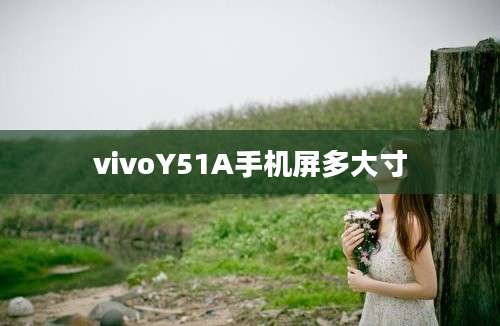 vivoY51A手机屏多大寸