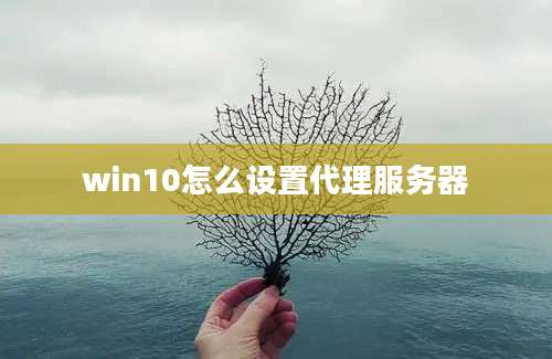 win10怎么设置代理服务器