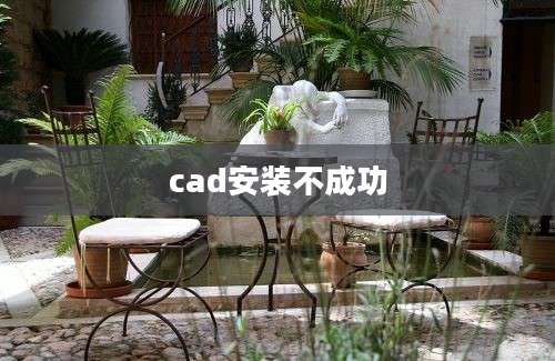 cad安装不成功