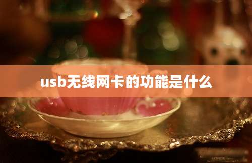 usb无线网卡的功能是什么