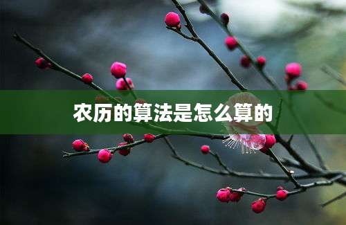 农历的算法是怎么算的