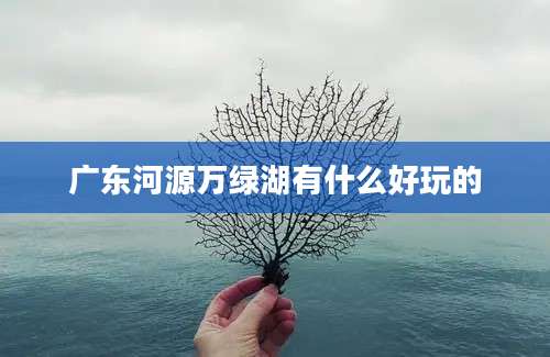 广东河源万绿湖有什么好玩的