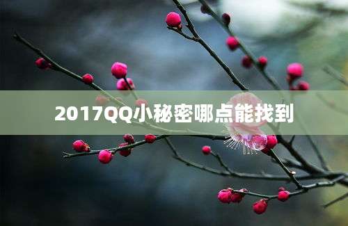 2017QQ小秘密哪点能找到