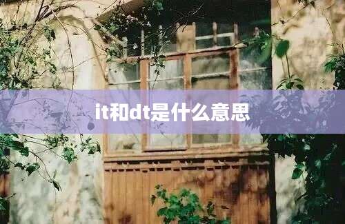 it和dt是什么意思