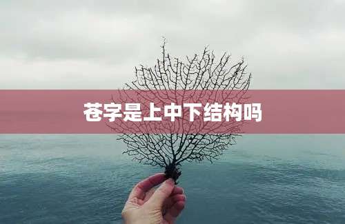 苍字是上中下结构吗