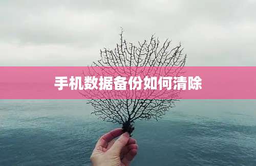 手机数据备份如何清除