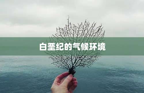 白垩纪的气候环境