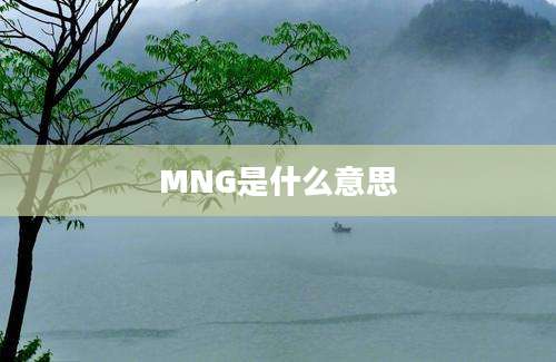 MNG是什么意思