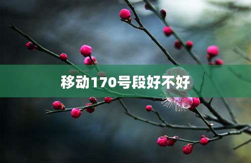 移动170号段好不好