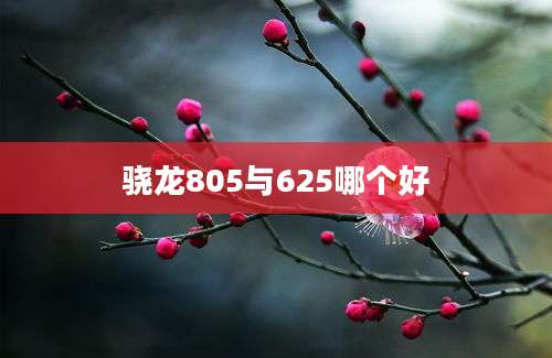 骁龙805与625哪个好