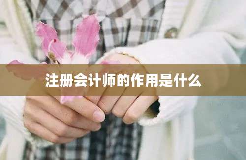 注册会计师的作用是什么