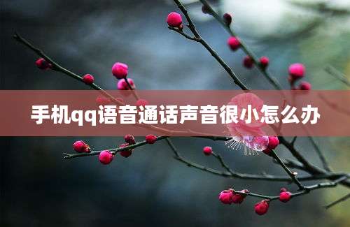 手机qq语音通话声音很小怎么办