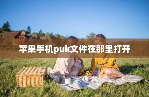 苹果手机puk文件在那里打开