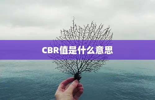 CBR值是什么意思