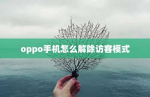 oppo手机怎么解除访客模式