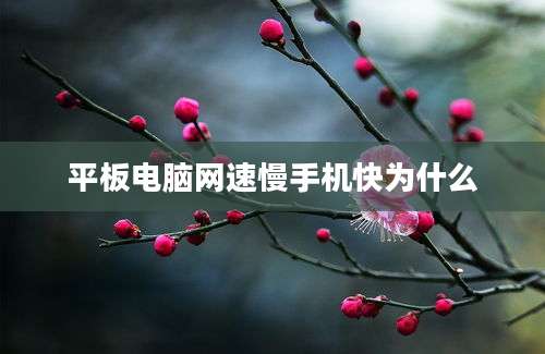 平板电脑网速慢手机快为什么