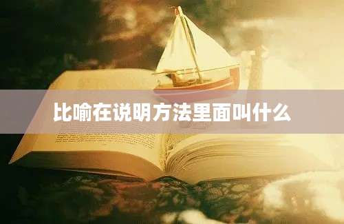 比喻在说明方法里面叫什么