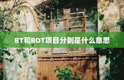 BT和BOT项目分别是什么意思