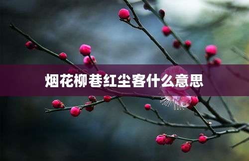 烟花柳巷红尘客什么意思