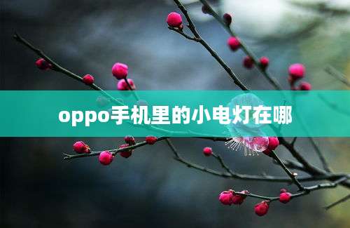 oppo手机里的小电灯在哪