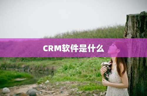 CRM软件是什么