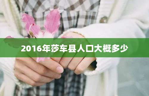 2016年莎车县人口大概多少