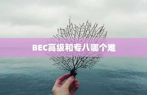 BEC高级和专八哪个难