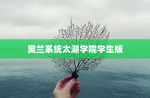 奥兰系统太湖学院学生版