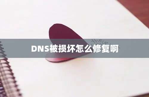 DNS被损坏怎么修复啊