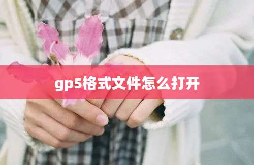 gp5格式文件怎么打开