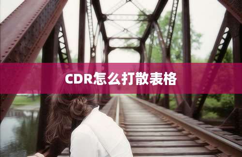 CDR怎么打散表格